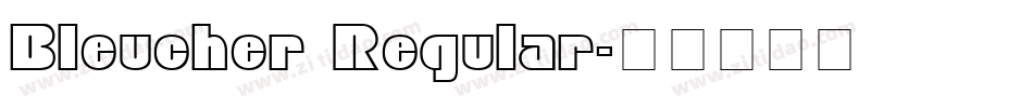 Bleucher Regular字体转换